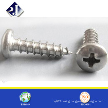 Zinc Plated Pan Head Sharp Point Self Tapping Screw (DIN7981)